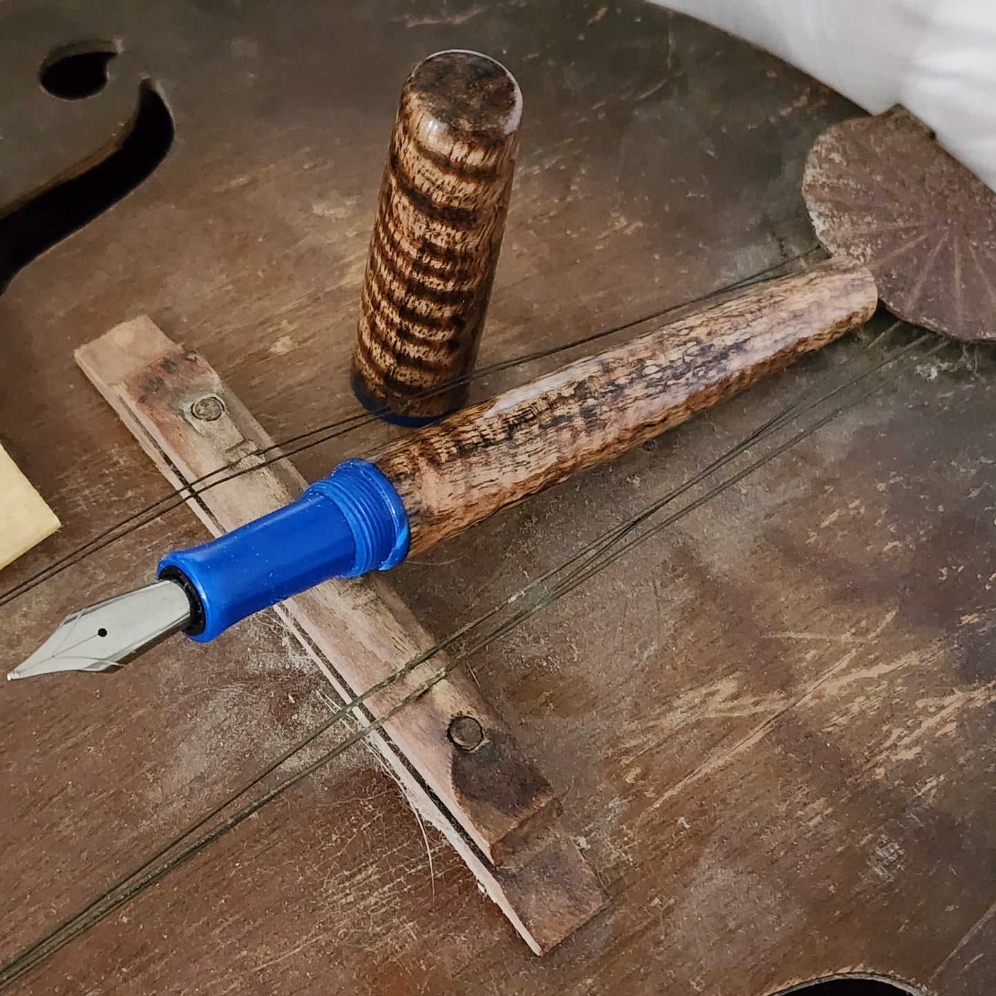 Curly Mango Fountain Pen